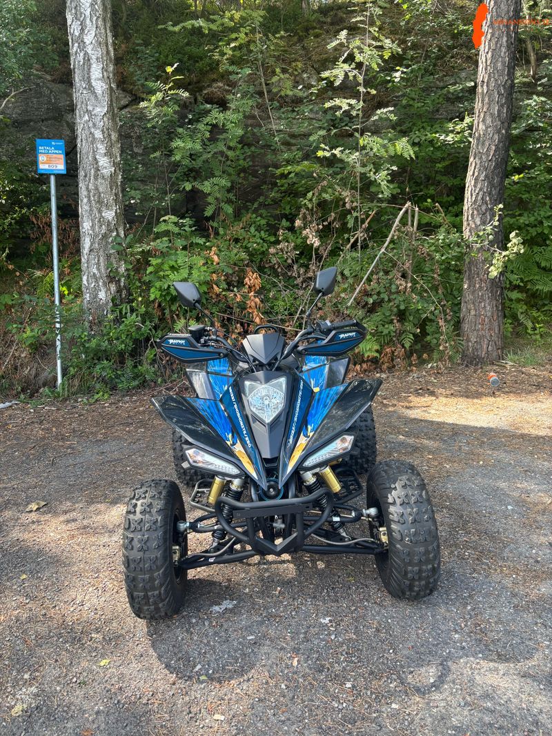 mc-registrerad-bashan-badboy-elite-250cc-vagreggad-fyrhjuling