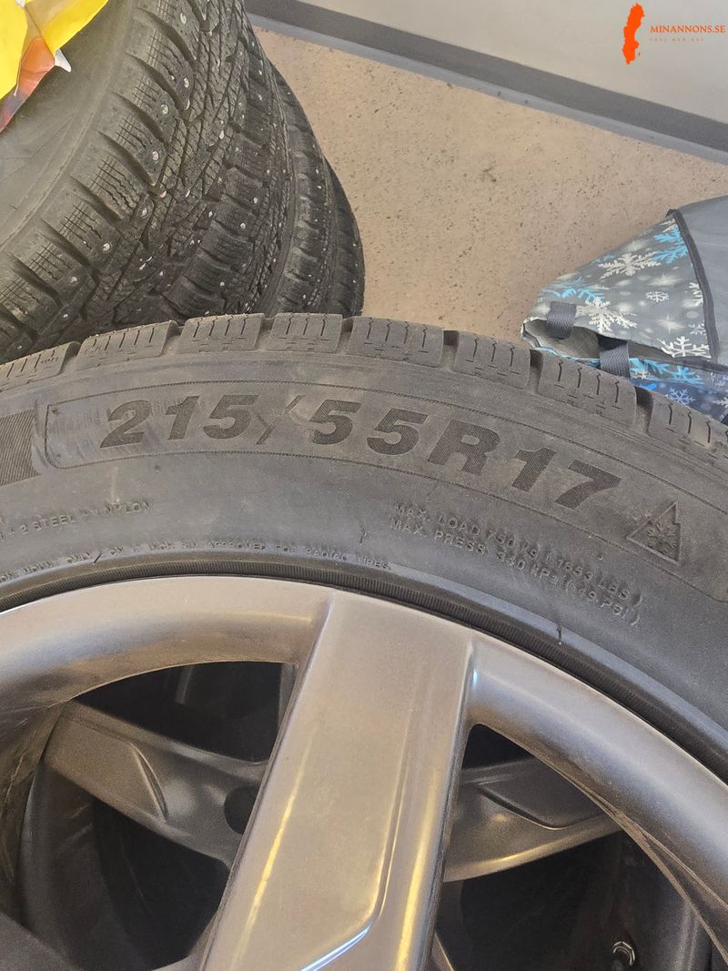 vinterdack-toyota-hyundai-kia-mf