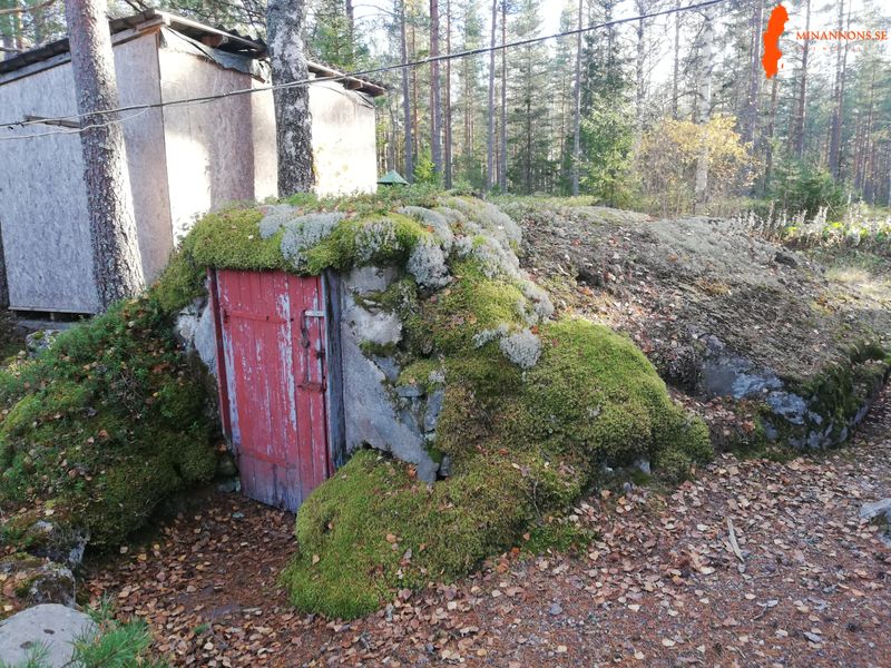 sommarstuga-med-stor-tomt