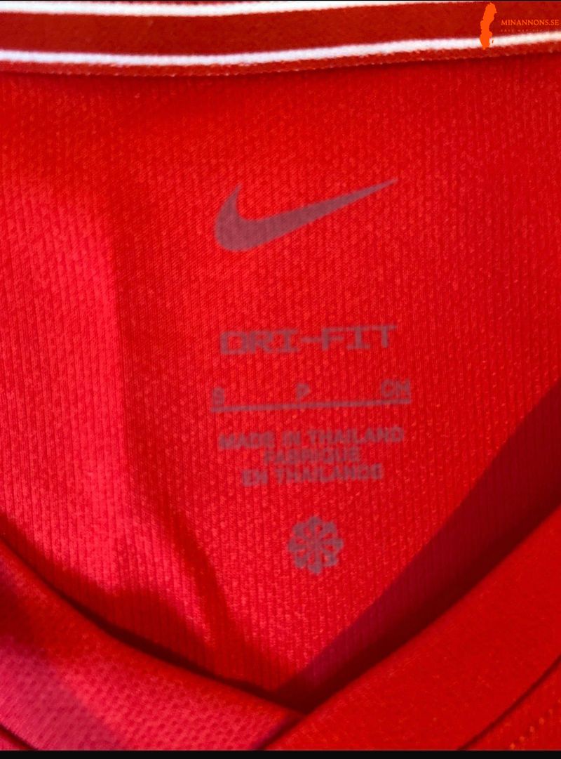 nike-dri-fit-rod-traningstroja-l-150-kr