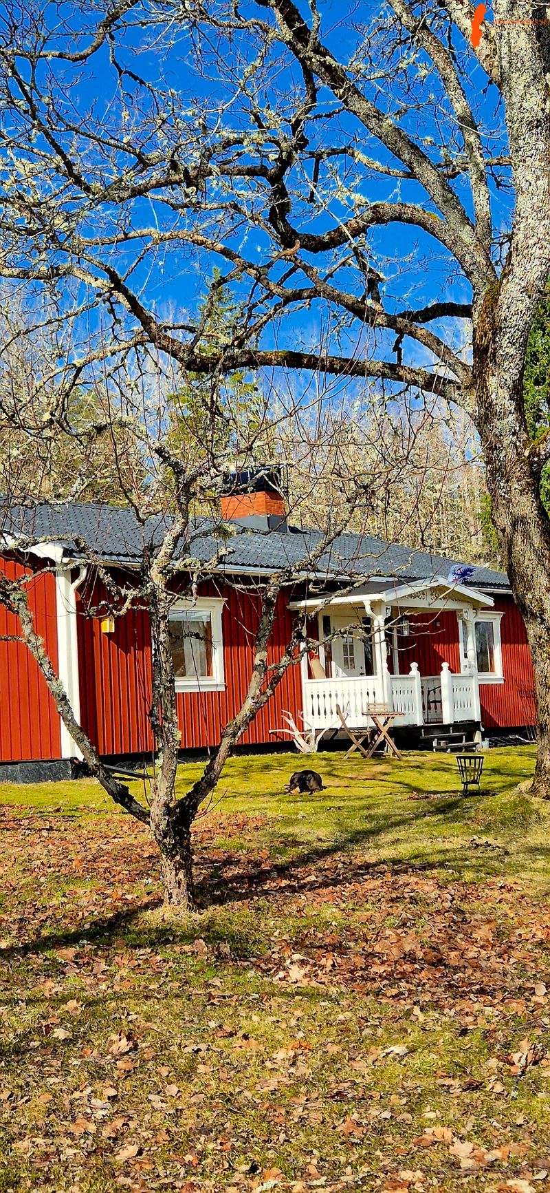 charmig-enplansvilla-med-stor-verkstad-carport-stuga-i-koppom