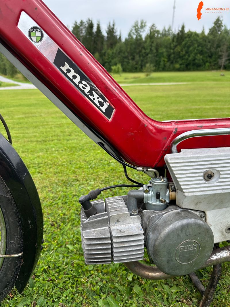 puch-maxi