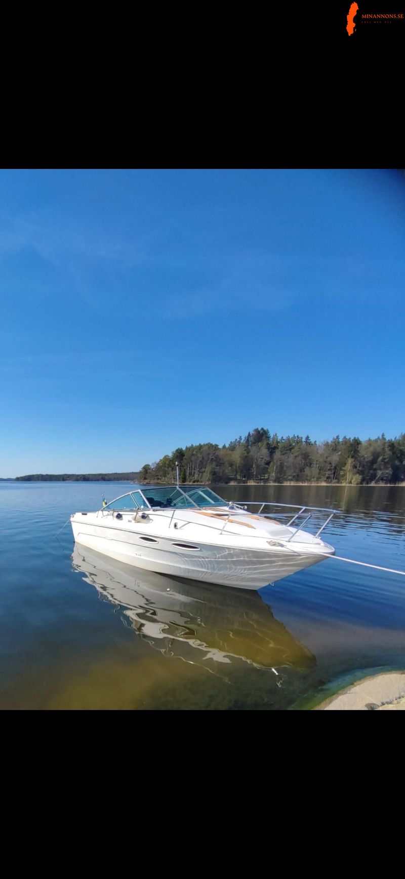 sea-ray-230-cc-v8-trailer