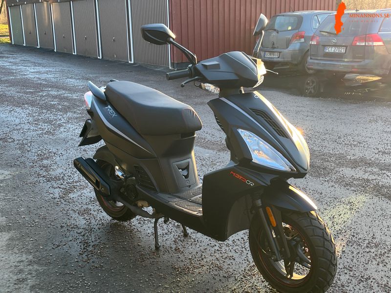moped-t-rex-motocr