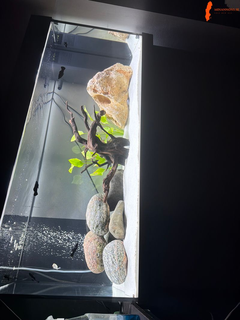 180-l-akvarium