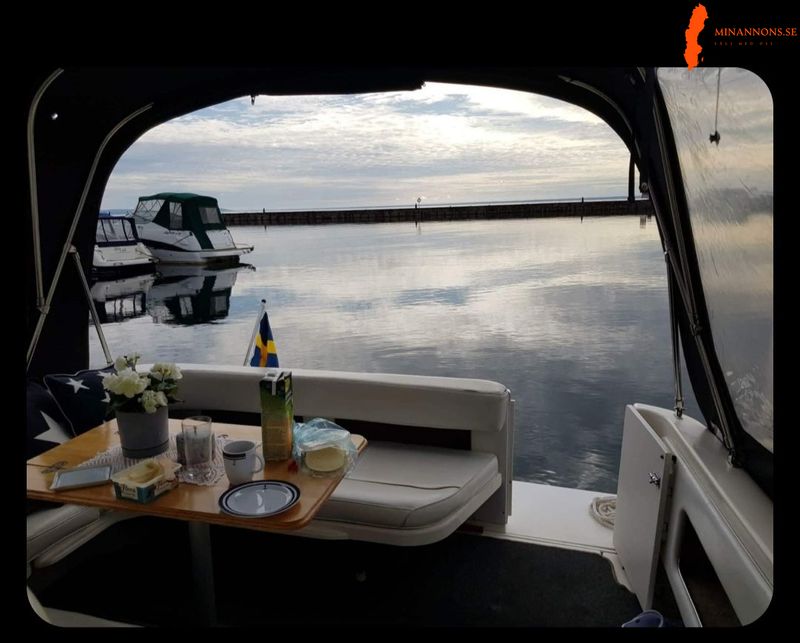mycket-pakostad-sea-ray-sundancer-330