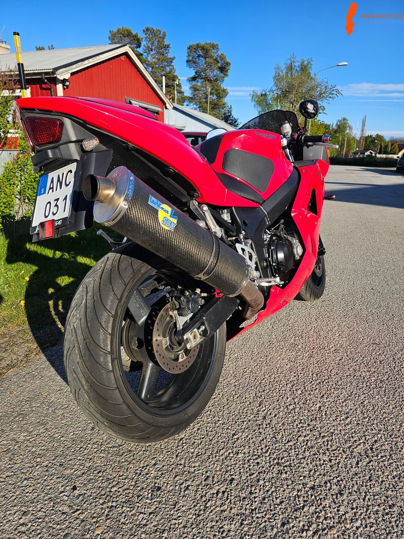 triumph-daytona-650